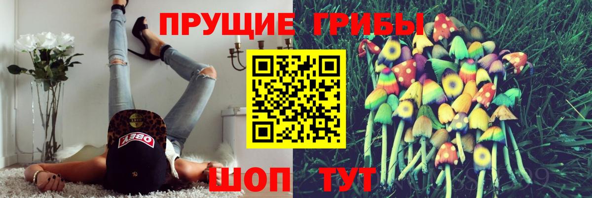 Псилоцибиновые грибы Psilocybine cubensis Ивантеевка