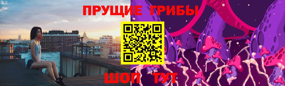Ивантеевка  Псилоцибиновые грибы Cubensis  Вход с VPN  Галлюциногенные грибы Psilocybine cubensis 